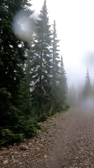 Someone Calls Your Name in the Fog